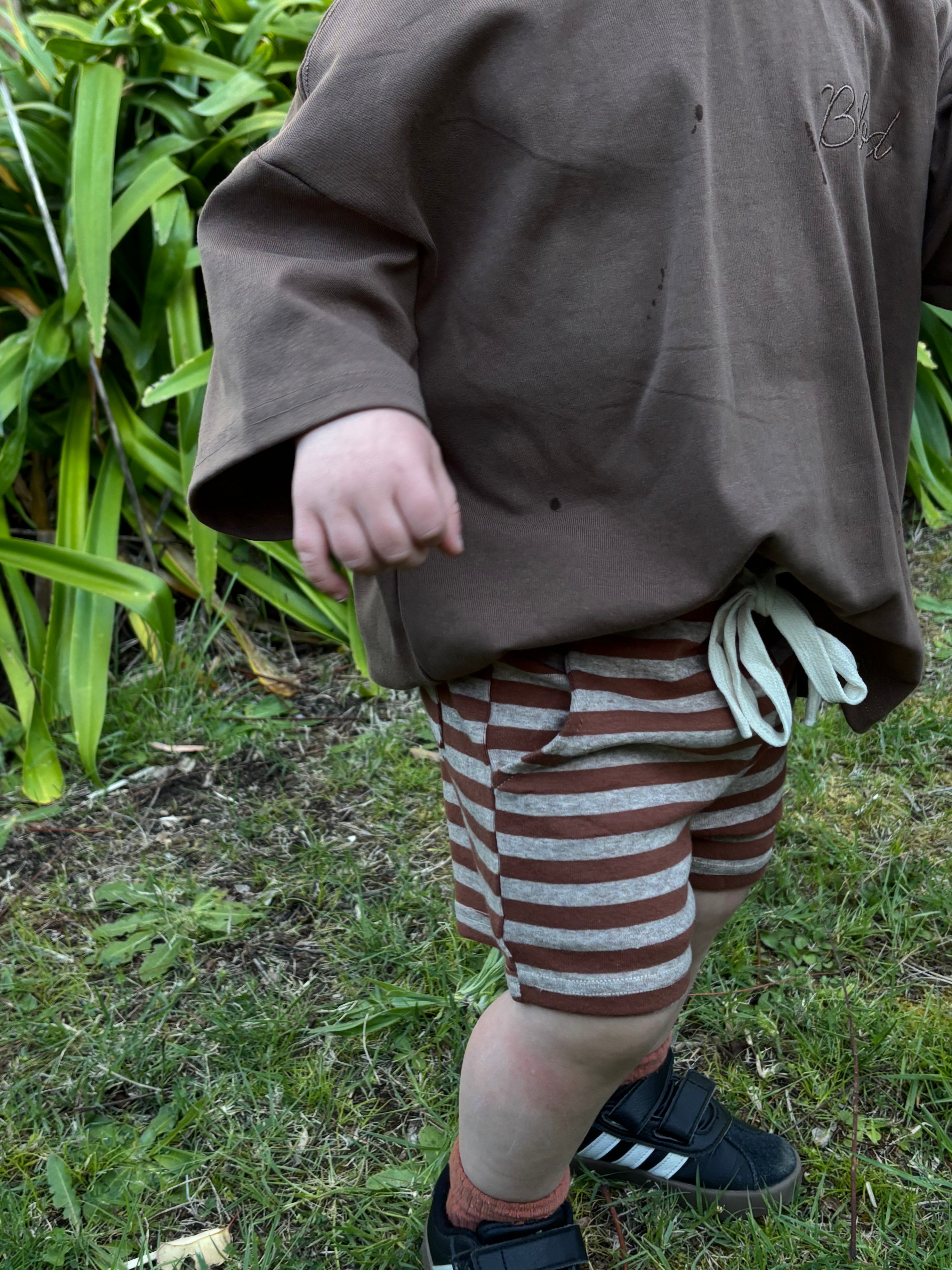 Brown Stripe Shorts