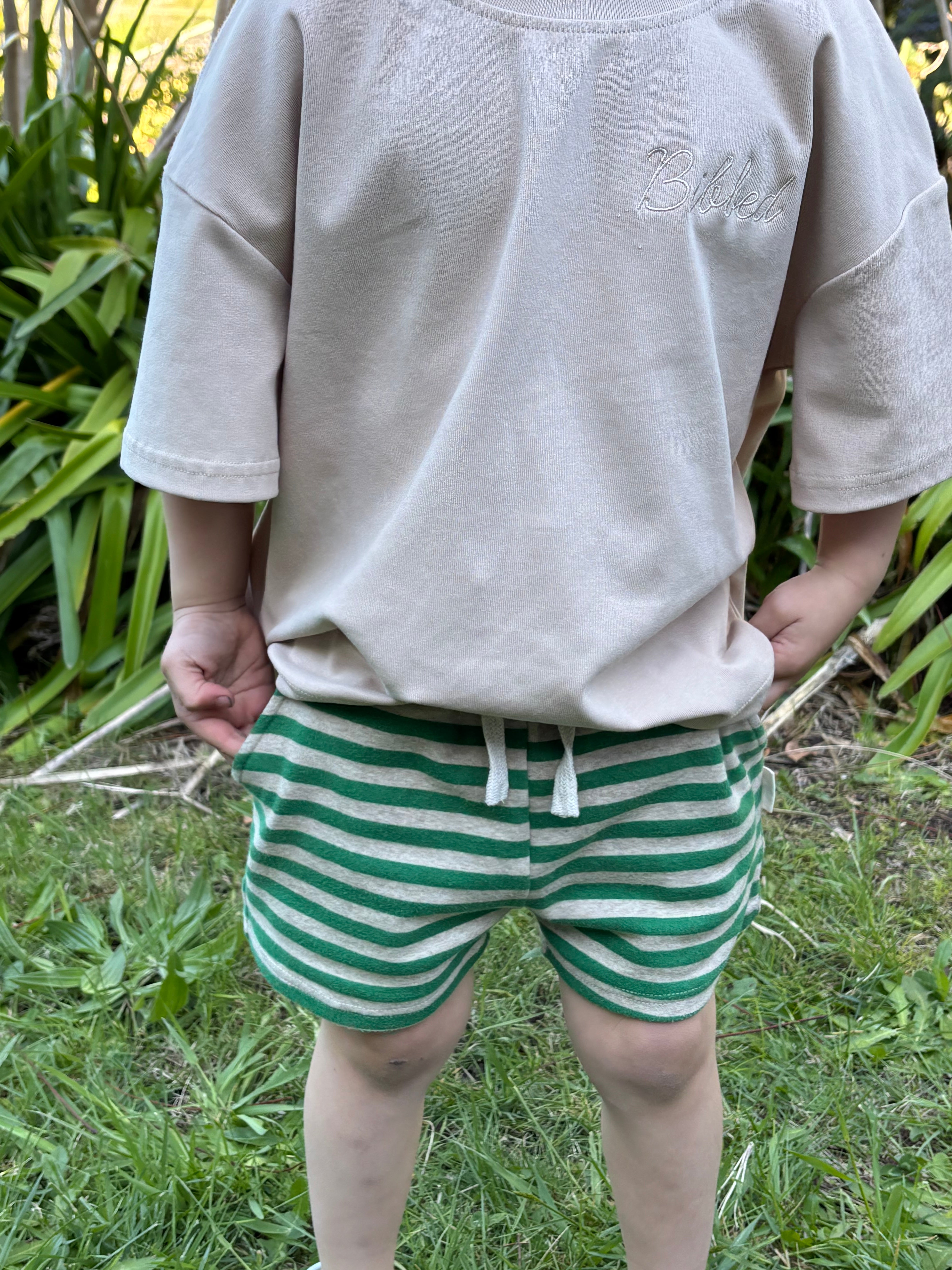 Green Stripe Shorts