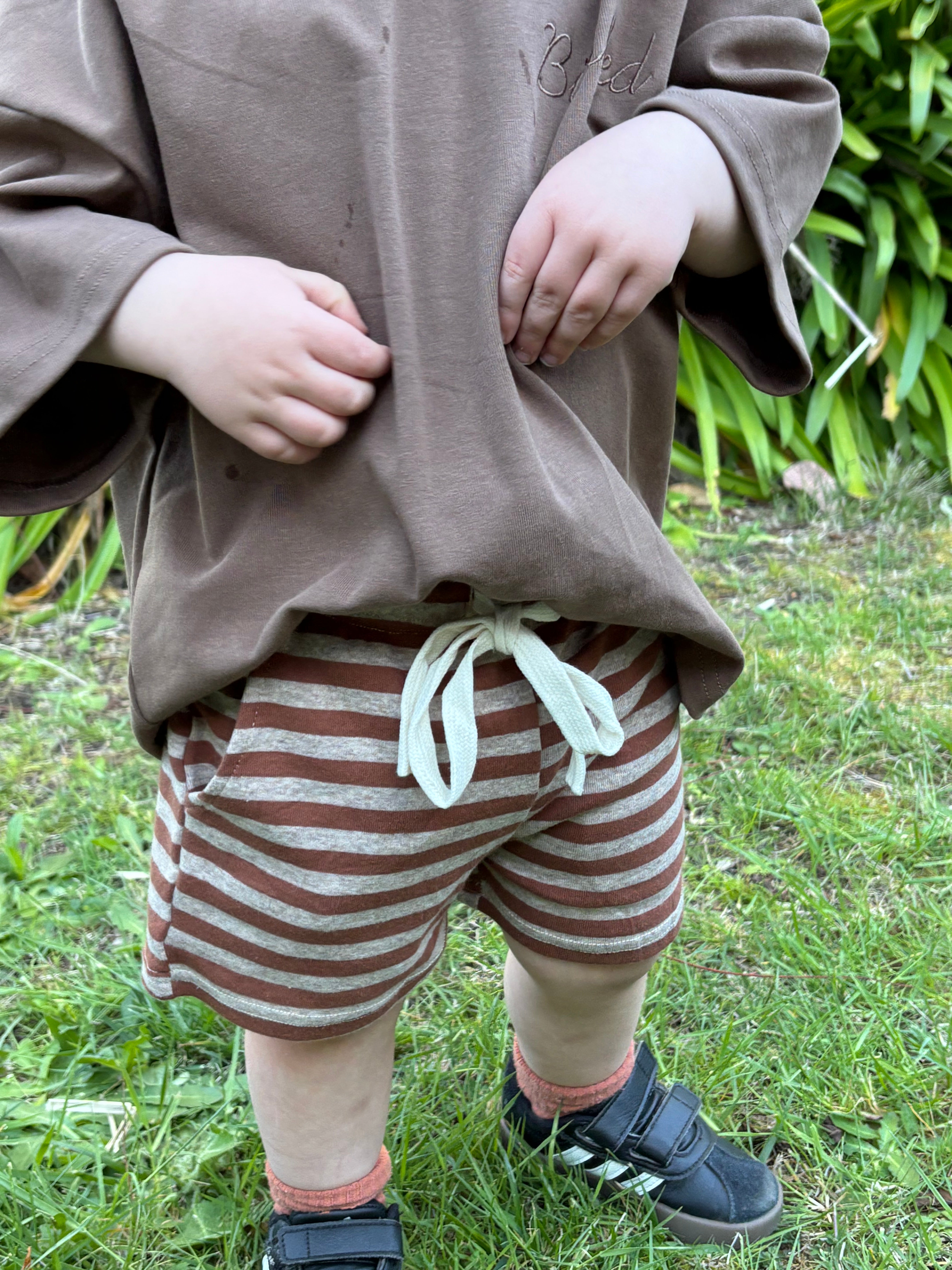 Brown Stripe Shorts
